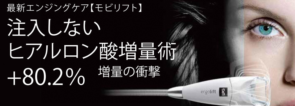 エンダモリフト